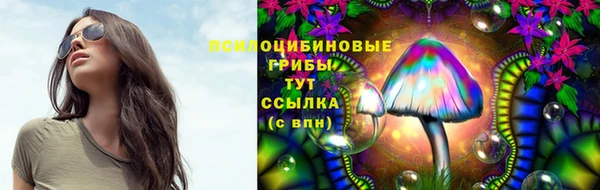 мяу мяу мука Богданович