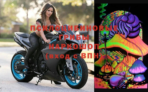 мяу мяу мука Богданович