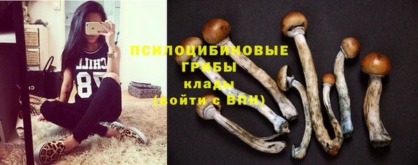 мяу мяу мука Богданович