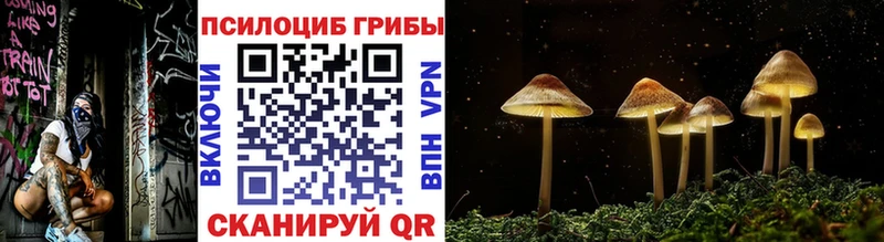 Галлюциногенные грибы мицелий  Купить где  Воскресенск 
