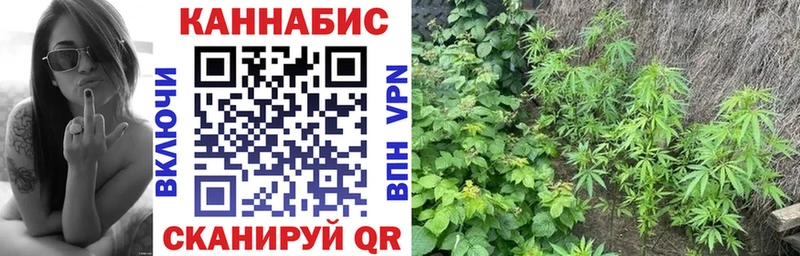 Купить  Воскресенск  Бошки Шишки White Widow 